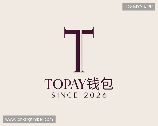 了解TOPAY钱包